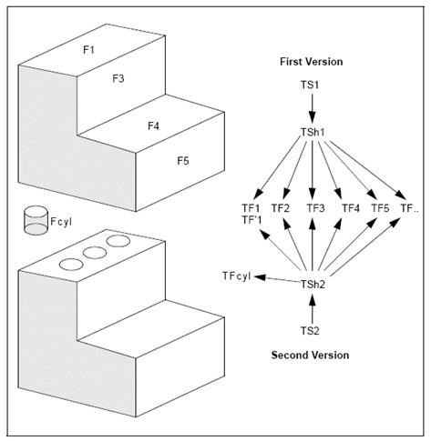 Data structure containing two versions of a solid