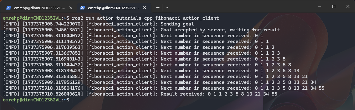 User_App_Actionlib_FibonacciClient_ROS2