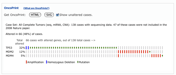 Example OncoPrint